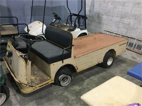 Taylor Dunn Long Bed Cargo Cart