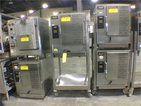Mix lot of (05) Accutemp Steamers